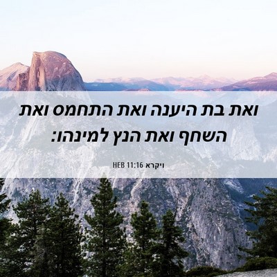 Picture 06 - ויקרא 11:16 HEB - ואת בת היענה ואת התחמס ואת - Bible Verse Picture