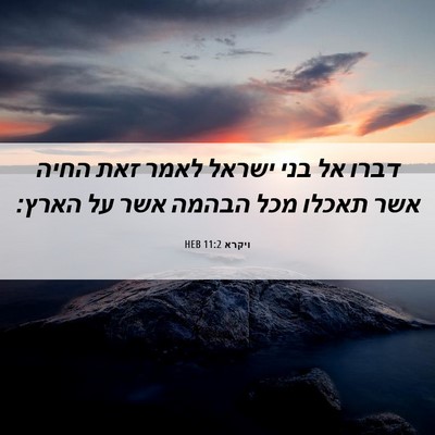 Picture 06 - ויקרא 11:2 HEB - דברו אל בני ישראל לאמר זאת - Bible Verse Picture