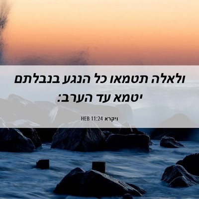Picture 06 - ויקרא 11:24 HEB - ולאלה תטמאו כל הנגע בנבלתם - Bible Verse Picture