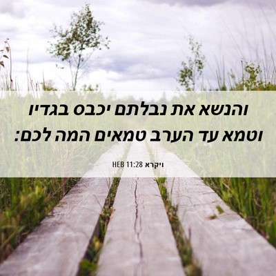 Picture 06 - ויקרא 11:28 HEB - והנשא את נבלתם יכבס בגדיו - Bible Verse Picture