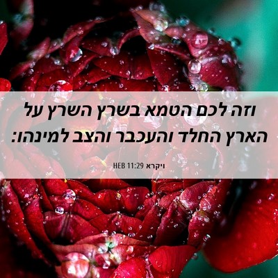 Picture 06 - ויקרא 11:29 HEB - וזה לכם הטמא בשרץ השרץ על - Bible Verse Picture