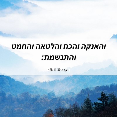 Picture 06 - ויקרא 11:30 HEB - והאנקה והכח והלטאה והחמט - Bible Verse Picture