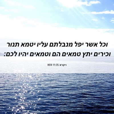 Picture 06 - ויקרא 11:35 HEB - וכל אשר יפל מנבלתם עליו - Bible Verse Picture