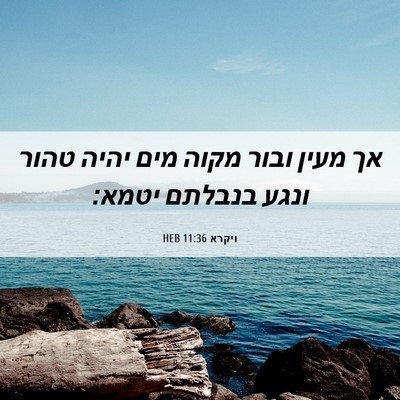 Picture 06 - ויקרא 11:36 HEB - אך מעין ובור מקוה מים יהיה - Bible Verse Picture