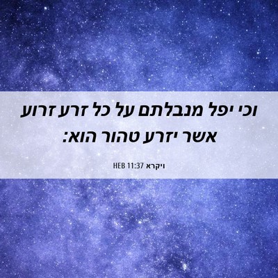 Picture 06 - ויקרא 11:37 HEB - וכי יפל מנבלתם על כל זרע - Bible Verse Picture