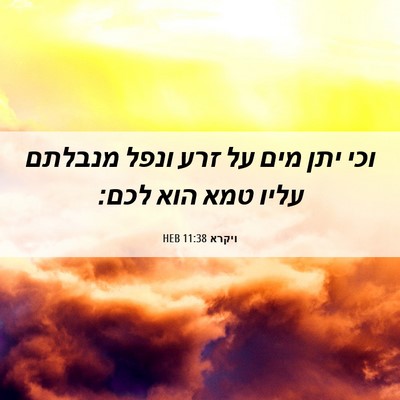 Picture 06 - ויקרא 11:38 HEB - וכי יתן מים על זרע ונפל - Bible Verse Picture