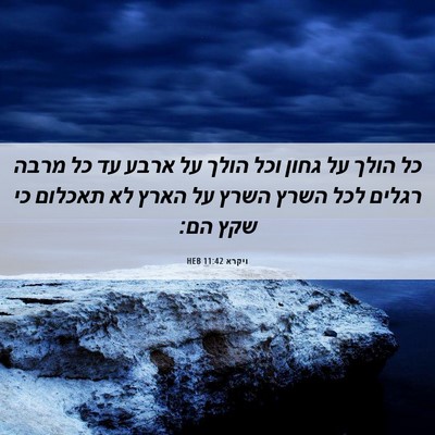 Picture 06 - ויקרא 11:42 HEB - כל הולך על גחון וכל הולך על - Bible Verse Picture