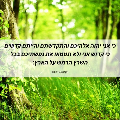 Picture 06 - ויקרא 11:44 HEB - כי אני יהוה אלהיכם - Bible Verse Picture