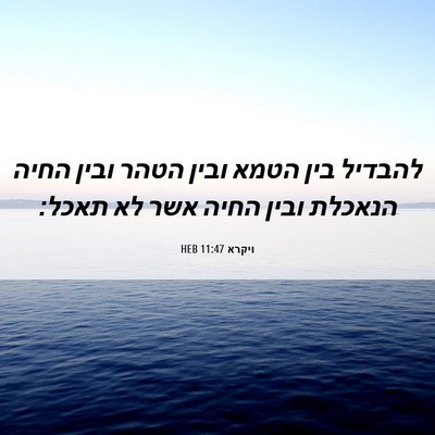 Picture 06 - ויקרא 11:47 HEB - להבדיל בין הטמא ובין הטהר - Bible Verse Picture