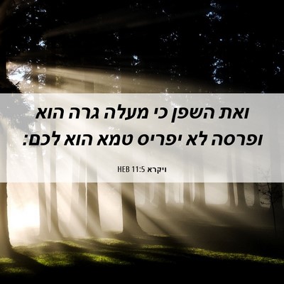Picture 06 - ויקרא 11:5 HEB - ואת השפן כי מעלה גרה הוא - Bible Verse Picture