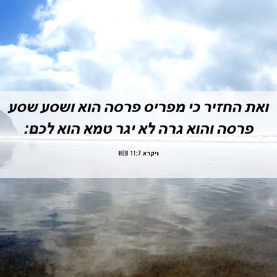 Picture 06 - ויקרא 11:7 HEB - ואת החזיר כי מפריס פרסה הוא - Bible Verse Picture