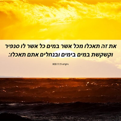Picture 06 - ויקרא 11:9 HEB - את זה תאכלו מכל אשר במים כל - Bible Verse Picture