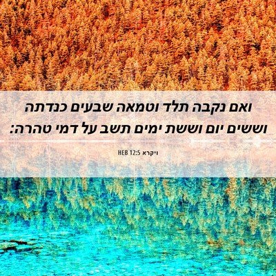 Picture 06 - ויקרא 12:5 HEB - ואם נקבה תלד וטמאה שבעים - Bible Verse Picture