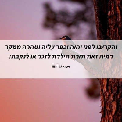Picture 06 - ויקרא 12:7 HEB - והקריבו לפני יהוה וכפר - Bible Verse Picture