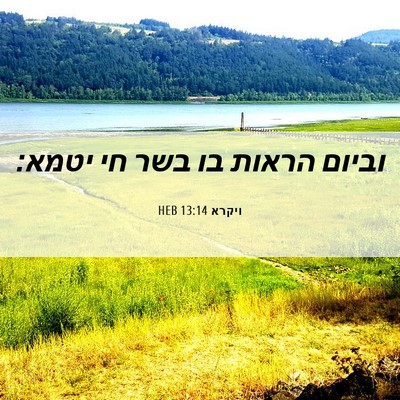 Picture 06 - ויקרא 13:14 HEB - וביום הראות בו בשר חי - Bible Verse Picture