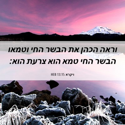 Picture 06 - ויקרא 13:15 HEB - וראה הכהן את הבשר החי וטמאו - Bible Verse Picture