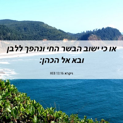 Picture 06 - ויקרא 13:16 HEB - או כי ישוב הבשר החי ונהפך - Bible Verse Picture