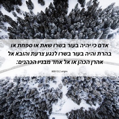 Picture 06 - ויקרא 13:2 HEB - אדם כי יהיה בעור בשרו שאת - Bible Verse Picture