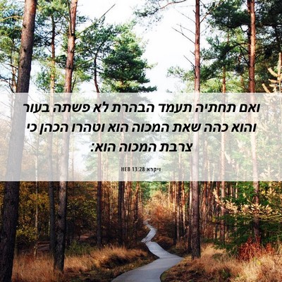 Picture 06 - ויקרא 13:28 HEB - ואם תחתיה תעמד הבהרת לא - Bible Verse Picture