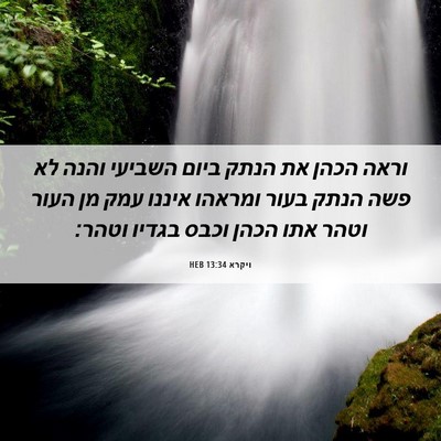 Picture 06 - ויקרא 13:34 HEB - וראה הכהן את הנתק ביום - Bible Verse Picture