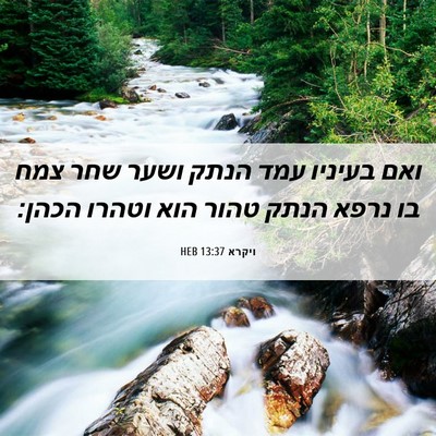 Picture 06 - ויקרא 13:37 HEB - ואם בעיניו עמד הנתק ושער - Bible Verse Picture