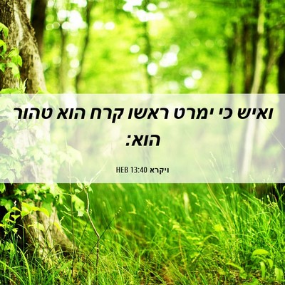 Picture 06 - ויקרא 13:40 HEB - ואיש כי ימרט ראשו קרח הוא - Bible Verse Picture