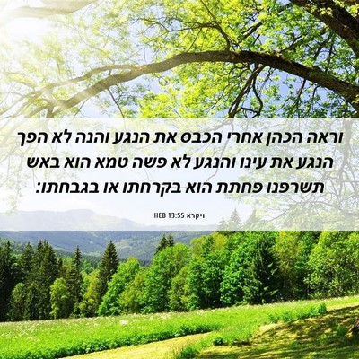 Picture 06 - ויקרא 13:55 HEB - וראה הכהן אחרי הכבס את הנגע - Bible Verse Picture