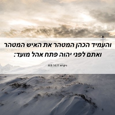 Picture 06 - ויקרא 14:11 HEB - והעמיד הכהן המטהר את האיש - Bible Verse Picture