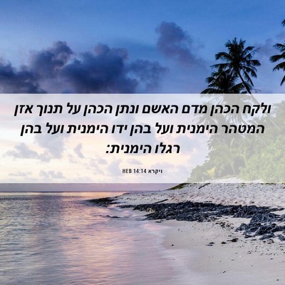 Picture 06 - ויקרא 14:14 HEB - ולקח הכהן מדם האשם ונתן - Bible Verse Picture