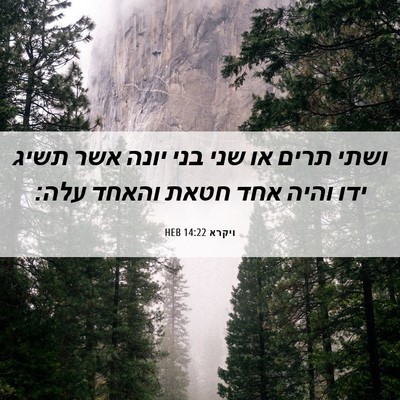 Picture 06 - ויקרא 14:22 HEB - ושתי תרים או שני בני יונה - Bible Verse Picture