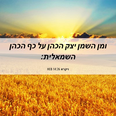 Picture 06 - ויקרא 14:26 HEB - ומן השמן יצק הכהן על כף - Bible Verse Picture