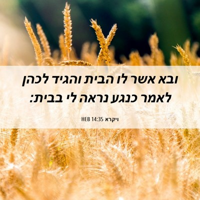 Picture 06 - ויקרא 14:35 HEB - ובא אשר לו הבית והגיד לכהן - Bible Verse Picture