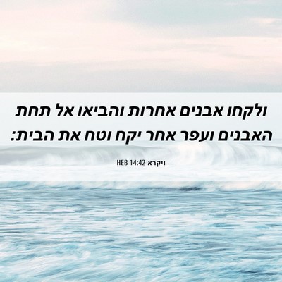 Picture 06 - ויקרא 14:42 HEB - ולקחו אבנים אחרות והביאו - Bible Verse Picture