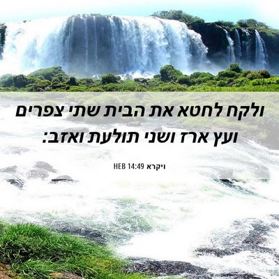 Picture 06 - ויקרא 14:49 HEB - ולקח לחטא את הבית שתי צפרים - Bible Verse Picture