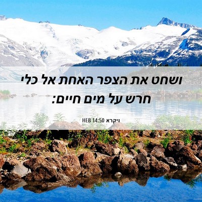 Picture 06 - ויקרא 14:50 HEB - ושחט את הצפר האחת אל כלי - Bible Verse Picture