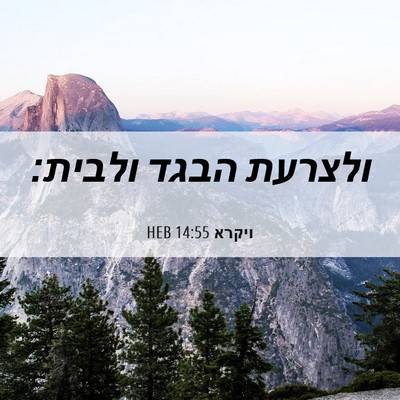 Picture 06 - ויקרא 14:55 HEB - ולצרעת הבגד - Bible Verse Picture