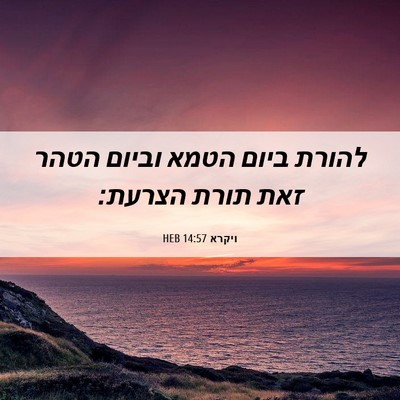 Picture 06 - ויקרא 14:57 HEB - להורת ביום הטמא וביום הטהר - Bible Verse Picture