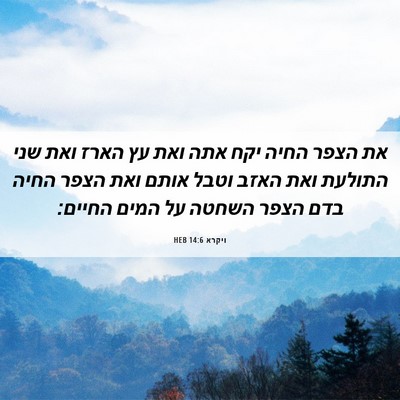 Picture 06 - ויקרא 14:6 HEB - את הצפר החיה יקח אתה ואת עץ - Bible Verse Picture