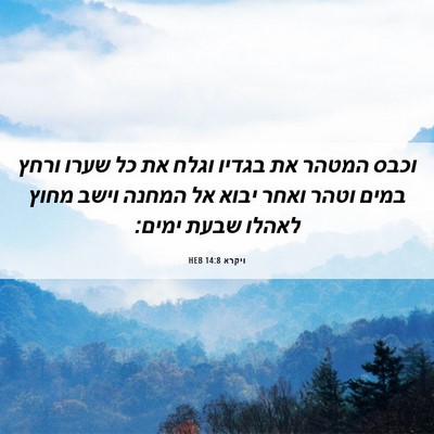 Picture 06 - ויקרא 14:8 HEB - וכבס המטהר את בגדיו וגלח את - Bible Verse Picture