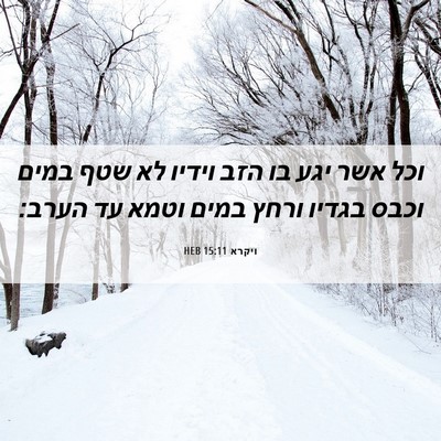 Picture 06 - ויקרא 15:11 HEB - וכל אשר יגע בו הזב וידיו לא - Bible Verse Picture