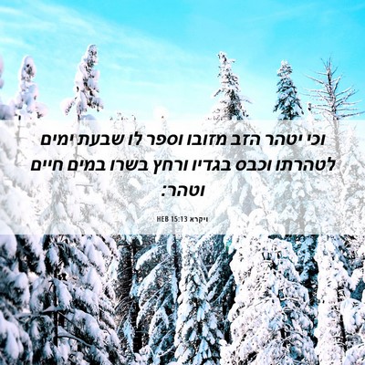Picture 06 - ויקרא 15:13 HEB - וכי יטהר הזב מזובו וספר לו - Bible Verse Picture