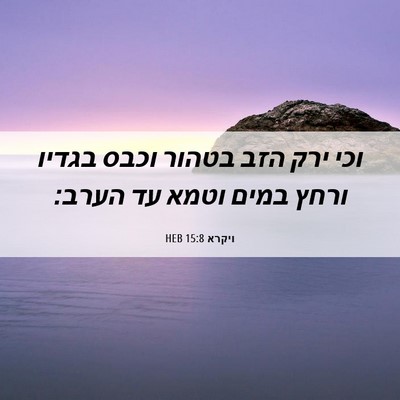 Picture 06 - ויקרא 15:8 HEB - וכי ירק הזב בטהור וכבס - Bible Verse Picture