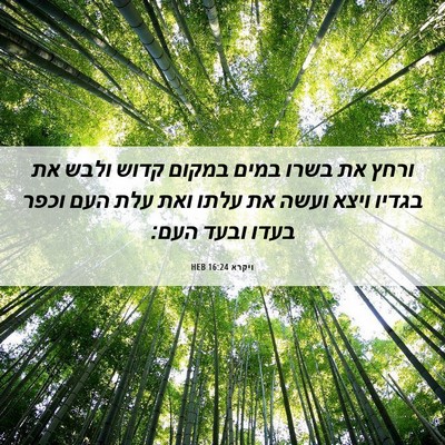Picture 06 - ויקרא 16:24 HEB - ורחץ את בשרו במים במקום - Bible Verse Picture
