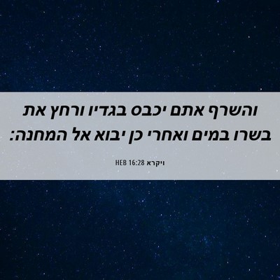 Picture 06 - ויקרא 16:28 HEB - והשרף אתם יכבס בגדיו ורחץ - Bible Verse Picture