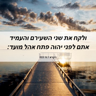 Picture 06 - ויקרא 16:7 HEB - ולקח את שני השעירם והעמיד - Bible Verse Picture