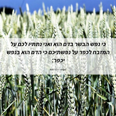Picture 06 - ויקרא 17:11 HEB - כי נפש הבשר בדם הוא ואני - Bible Verse Picture