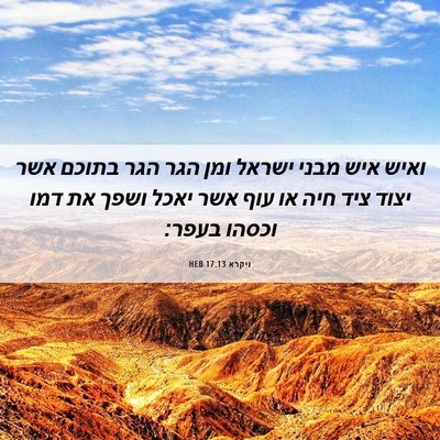Picture 06 - ויקרא 17:13 HEB - ואיש איש מבני ישראל ומן הגר - Bible Verse Picture