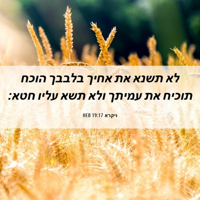 Picture 06 - ויקרא 19:17 HEB - לא תשנא את אחיך בלבבך הוכח - Bible Verse Picture