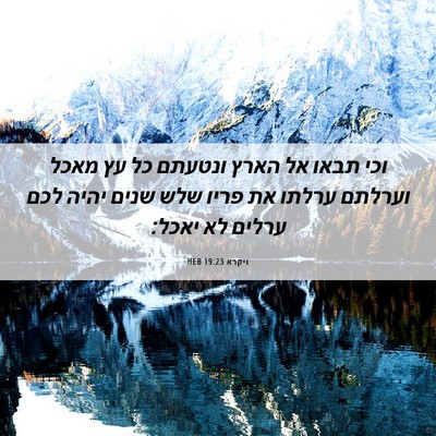 Picture 06 - ויקרא 19:23 HEB - וכי תבאו אל הארץ ונטעתם כל - Bible Verse Picture