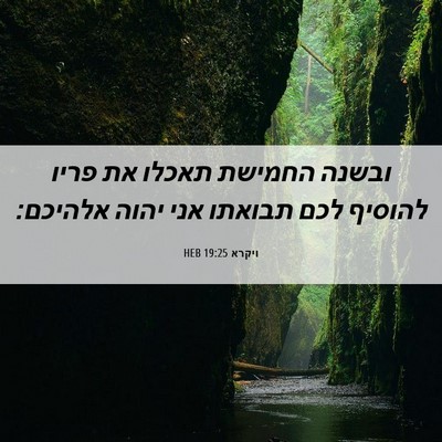 Picture 06 - ויקרא 19:25 HEB - ובשנה החמישת תאכלו את פריו - Bible Verse Picture